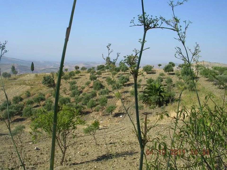 Landejendom i Cianciana, Agrigento - foto 2